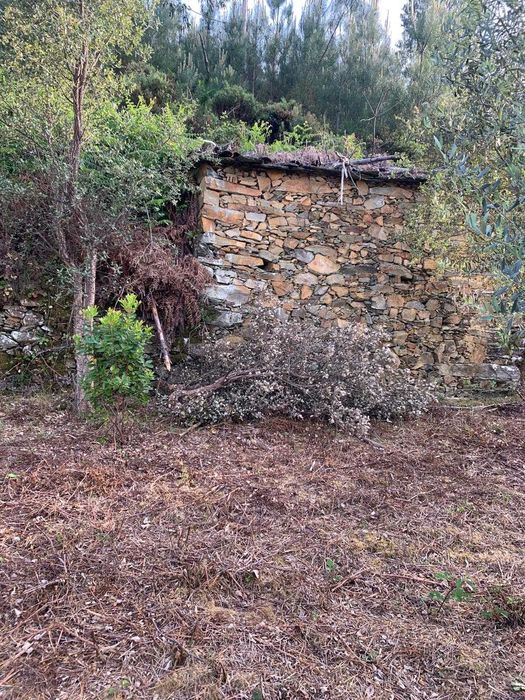 Terreno com palheiro em Ruinas