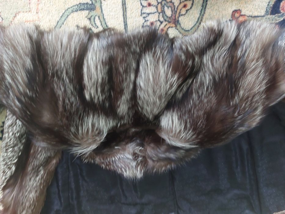 Futerko ,,Srebrne lisy" rozm 38-40 .