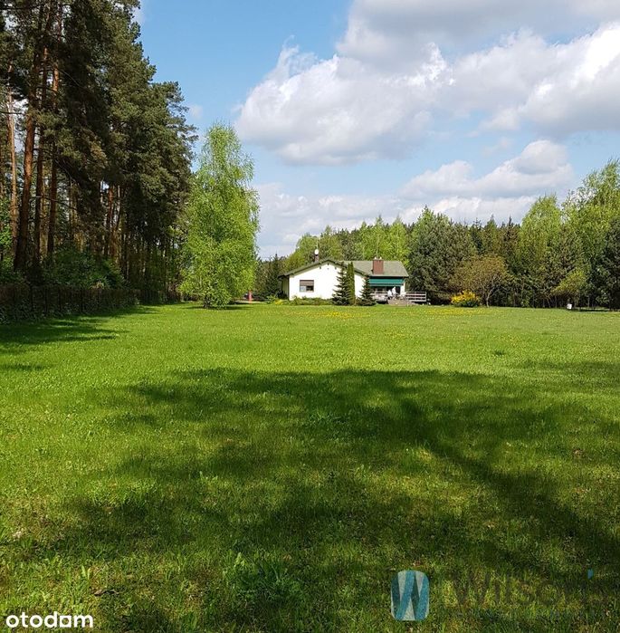 Parterowy dom 156 m na działce 9130m2