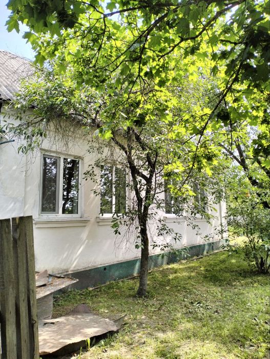 Продам будинок в с. Барвінки, Житомирська обл - Вид 6