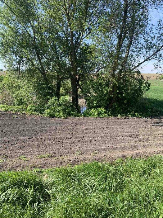 Продам дачу на хуторі