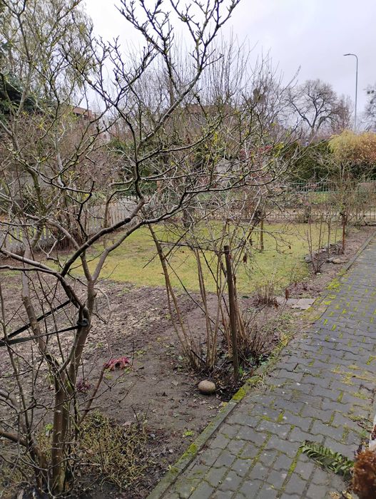 Sprzedam działkę ROD