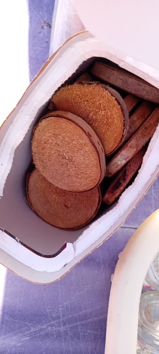 Trabalhos manuais/ craft