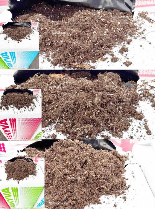 Торф'яний Субстрат для посіву Remix (Литва) Зелений. Гуртові ціни