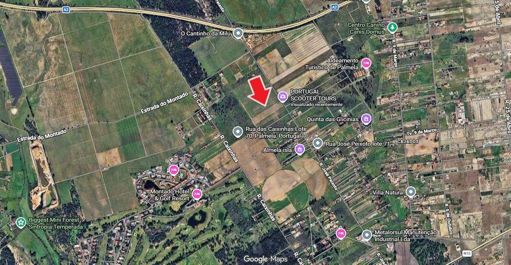 Terreno com 15.000 m² | Viabilidade de Construção Confirmada | Algeruz – Palmela