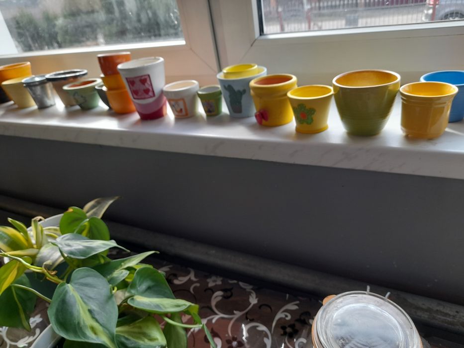 Маленькі горшки для кактусів