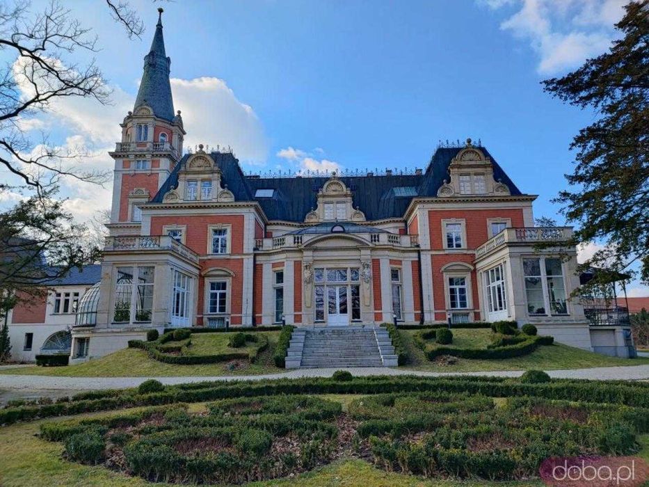 Wolne  apartamenty  na wyłączność  2,3,4 osobowe