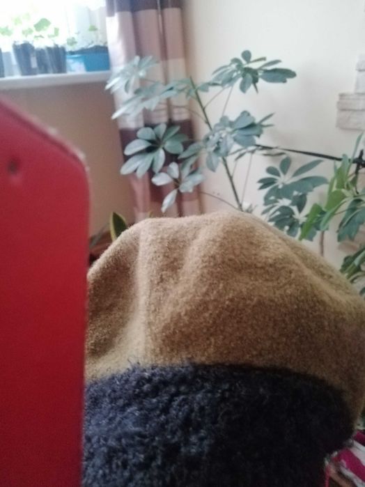 Czapka damska, beret.