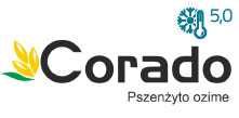 Pszenżyto Corado