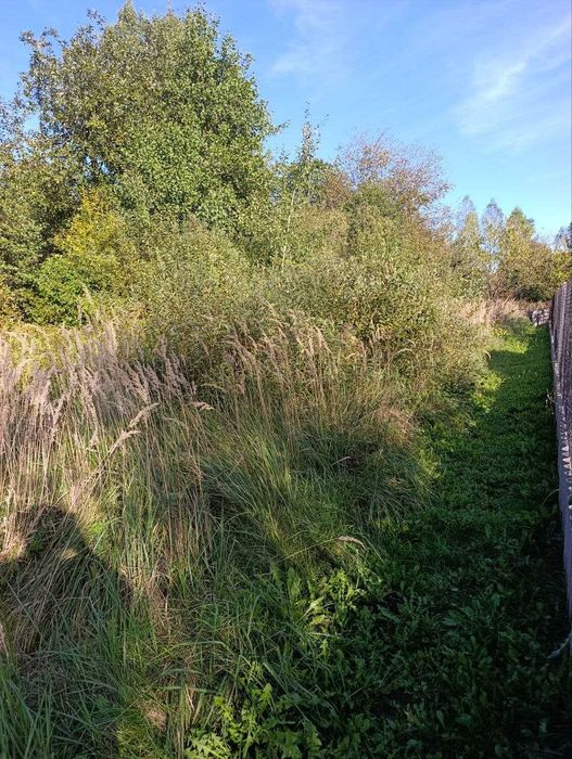 Продаж дачної ділянки с. Ков'ярі. 2500$ сот.