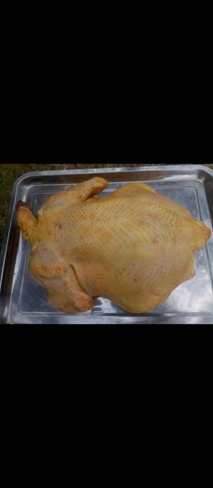 Тушки домашнього бройлера