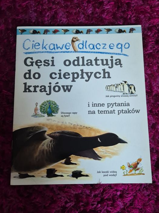 Ciekawe dlaczego Gęsi odlatują do ciepłych krajów