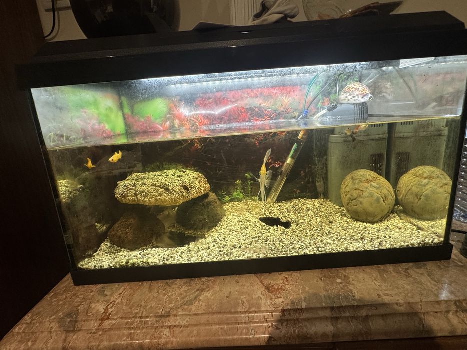 Aquario para venda completo