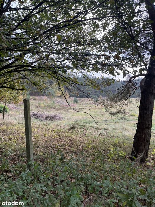 Działka budowlana 1193 m² | Chwaszczyno | Las | 20 min od Gdyni - Widok 4