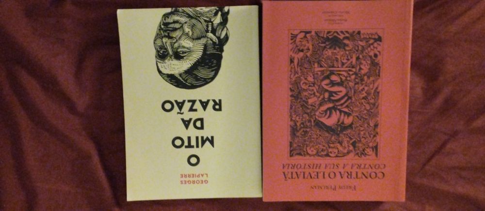 Livros Flauta de Luz (Novos)