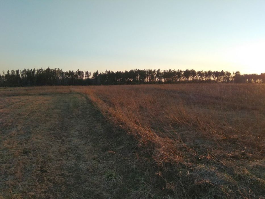 Земельна ділянка під забудову, с. Вишпіль