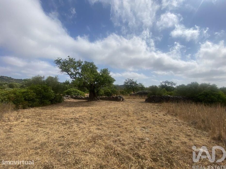 Terreno em Santa Catarina da Fonte do Bispo de 10000,00 m2