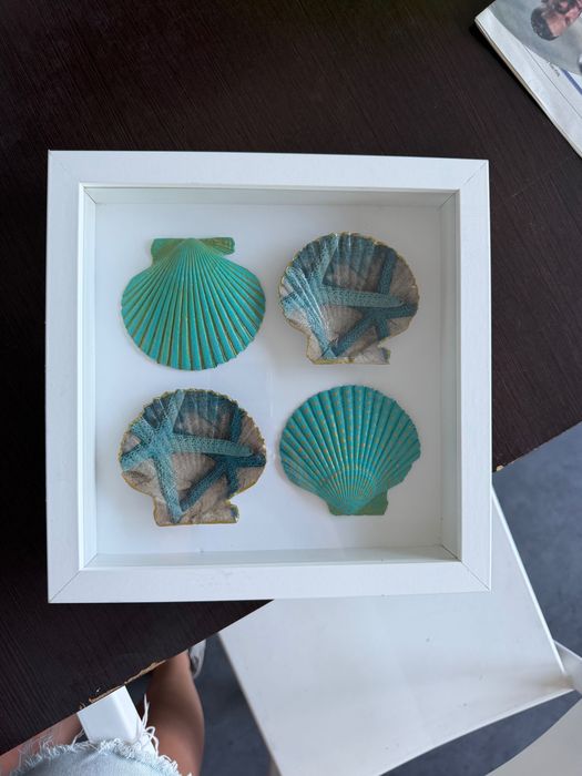 Arte com conchas