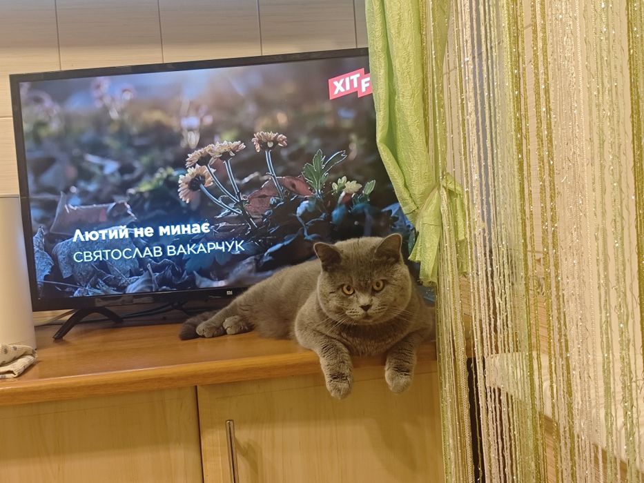 Котик для в'язки