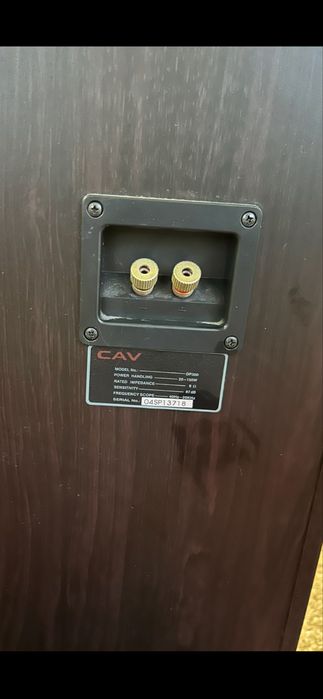 Колонки напольные CAV DP300, б/у.