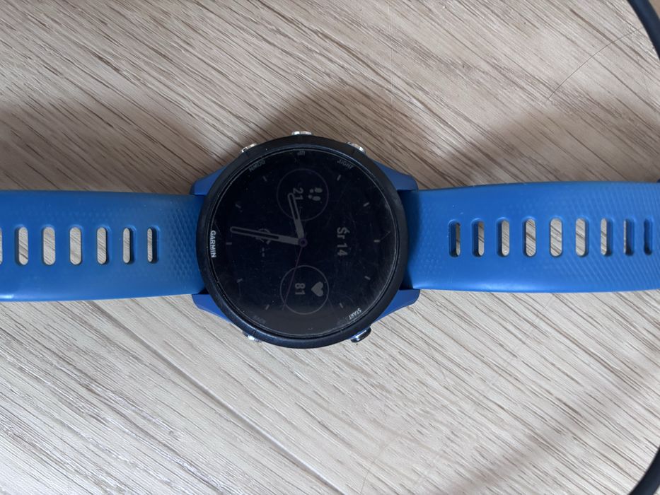 Garmin Forerunner 255