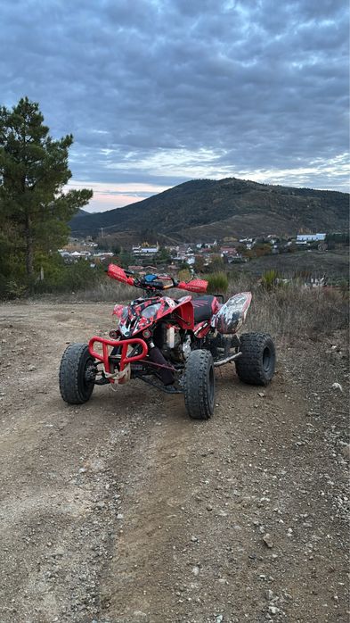 Polaris predater 500