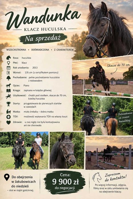 Klacz huculska Ścieżka Huculska – 135 cm, rodowód, pod siodłem