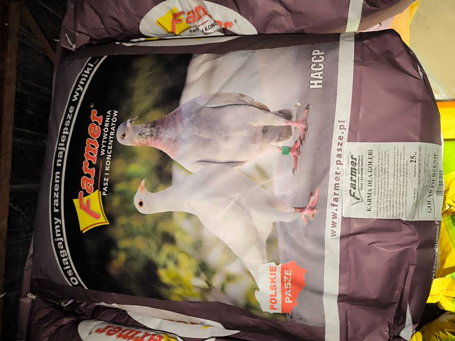 Karma gołąb bez kukurydzy i pszenicy