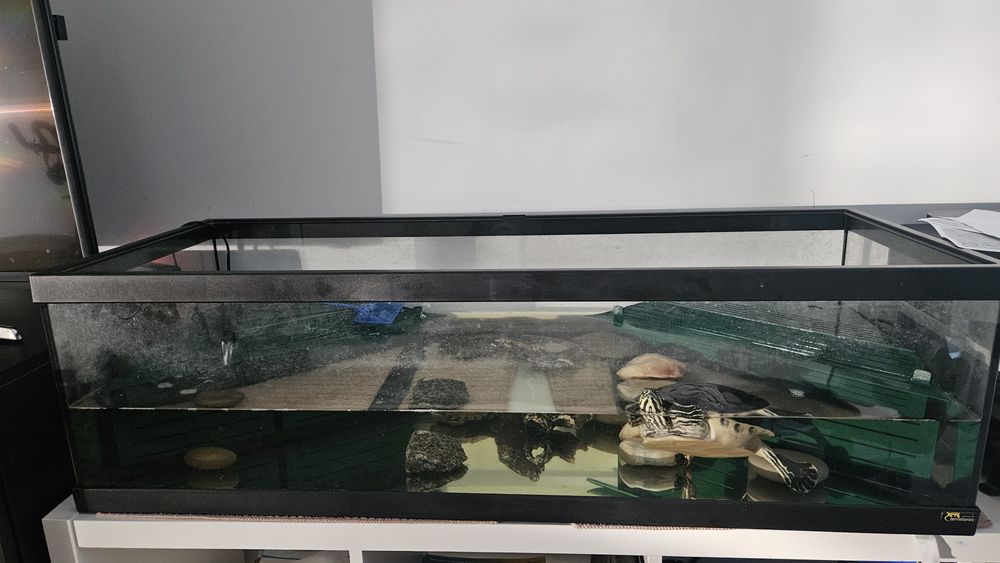 Aquário com tartarugas