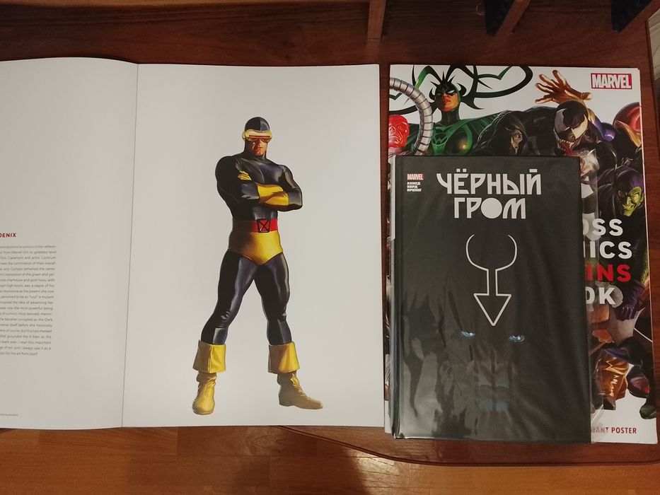 The Alex Ross Marvel Comics/Super Villains Poster Book гарний стан