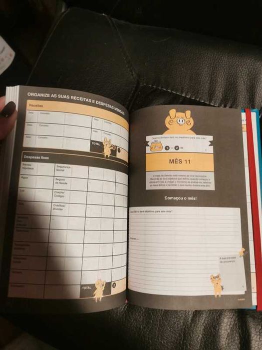 Livro Kakebo: o livro de contas da poupança domésticas, novo