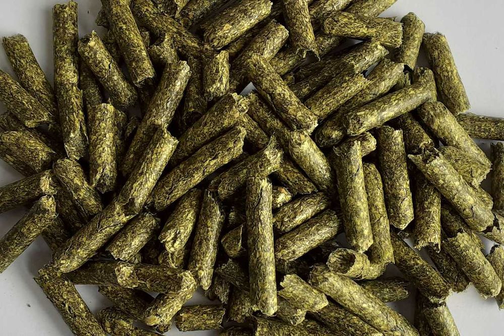 Susz z lucerny, lucerna granulowana. Dostawa od 1 tony, cała Polska