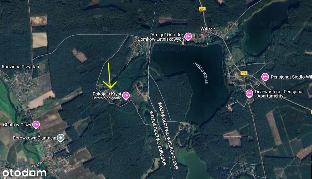 Działka na polanie otoczona lasem