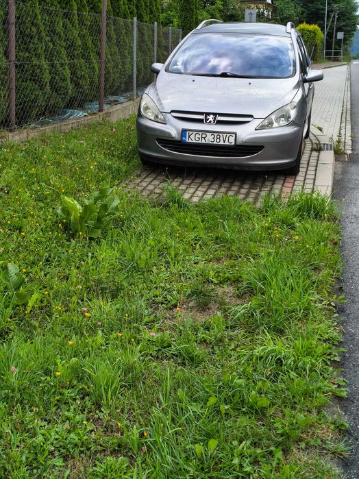 Peugeot 307 2.0 hdi