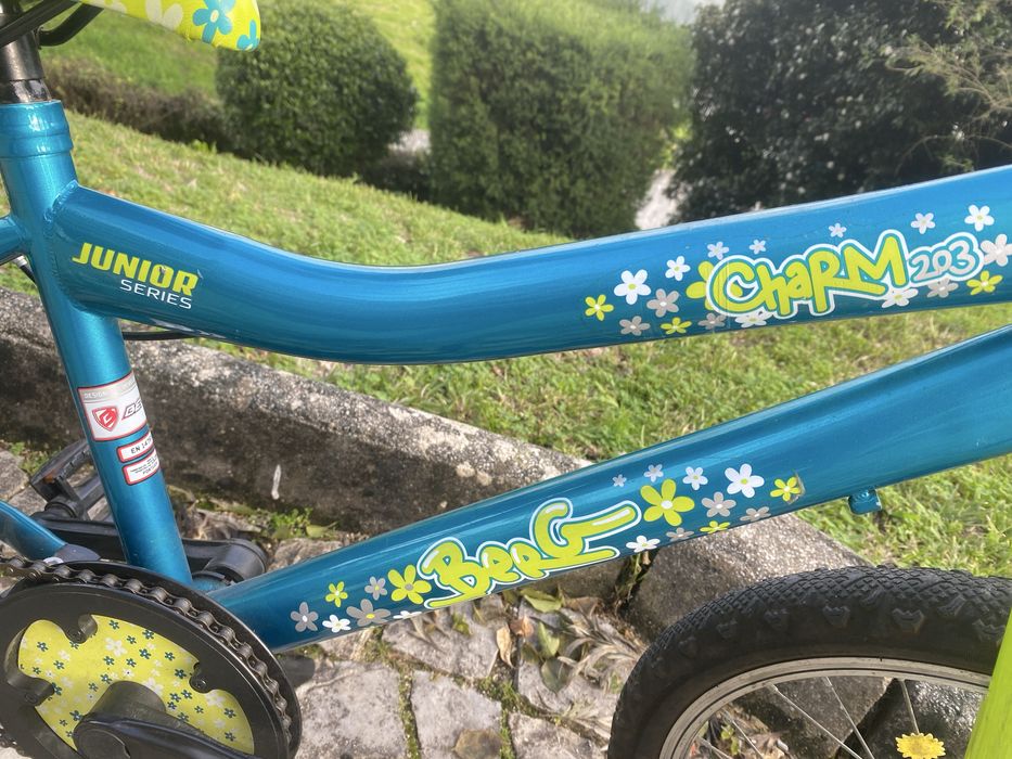 BERG - Charm 203 - Bicicleta Roda 20”