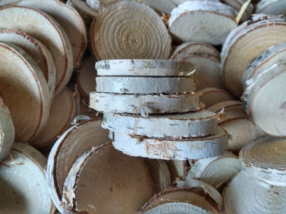 Plasterki drewna brzozowego krążki szlif ok 8 cm,