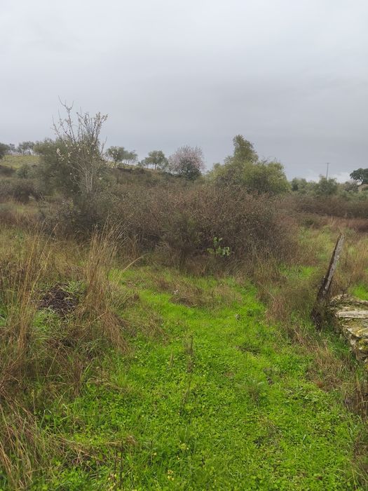 Terreno rústico em Moncorvo