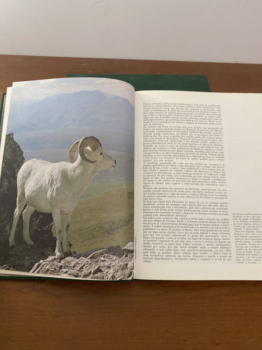 Coleção de Livros A AVENTURA DA VIDA de Félix Rodríguez de la Fuente