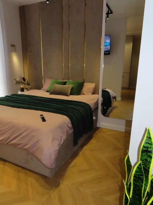 Романтическая SPA квартира с джакузи • метро Спортивная посуточно