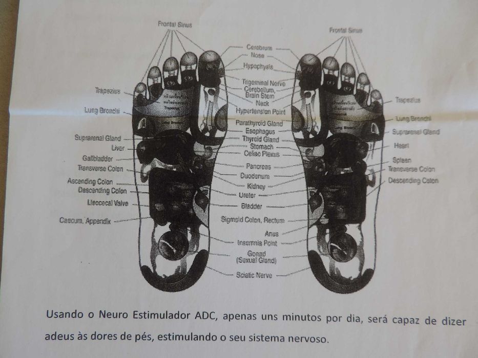 Neuro Estimulador Plataforma Vibratória com Manual e Instruções