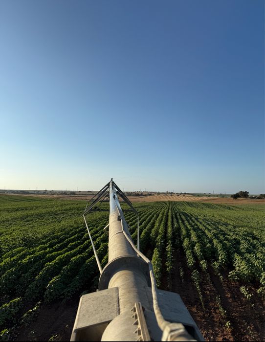 2 Pivots de rega (24ha & 26ha)