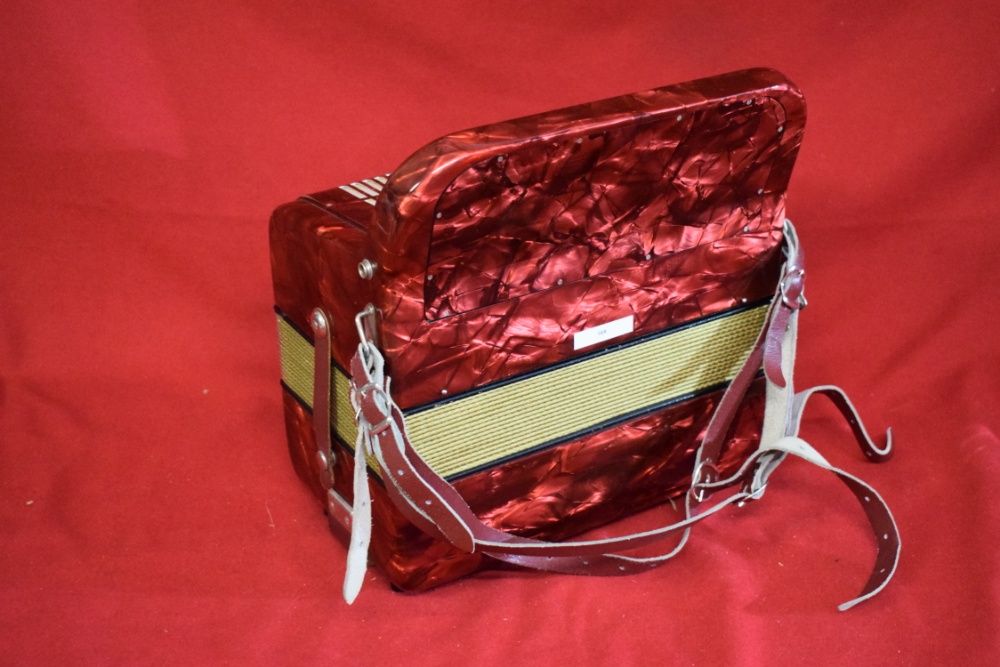 Hohner Amati Accordion, 2-Row, 48 Bass, No. 7264740306535425124