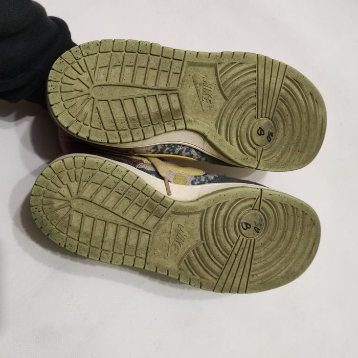 Кросівки Nike dunk low sp community garden
