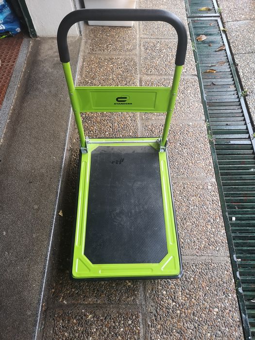 Carro de transporte plataforma 150KG