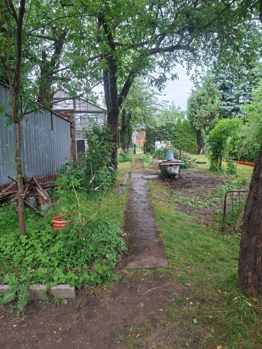 Ogródek działkowy ROD Szczecin Łukasińskiego - Więcej