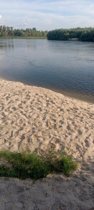 Відпочинок біля річки Десна