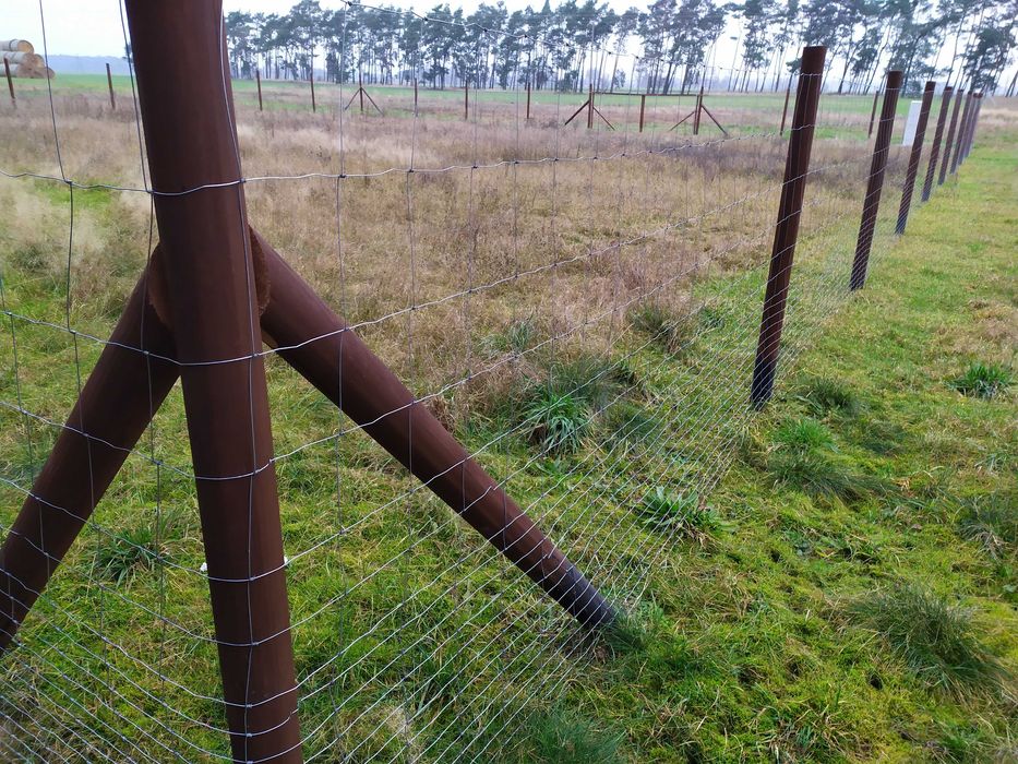 Ogrodzenia z siatki leśnej ! 14zł/mb Tymczasowe Budowlane PHU MATT
