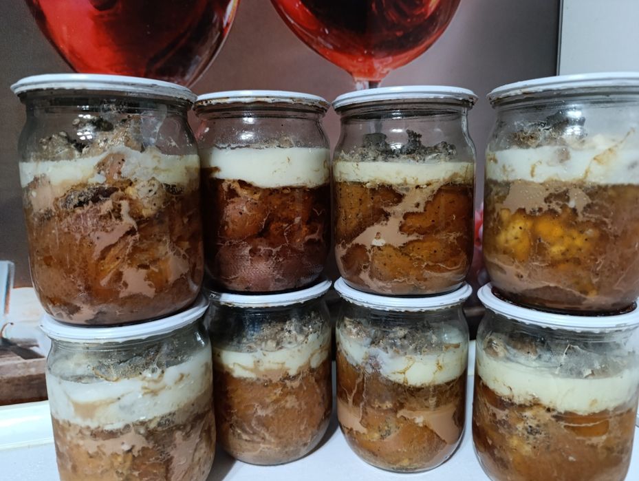 Домашня тушонка і паштет