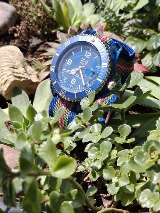 Zegarek ice Watch Diver