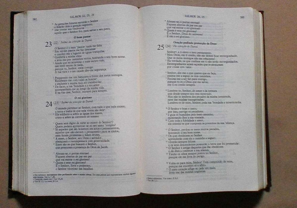 Biblia Sagrada - A Boa Nova